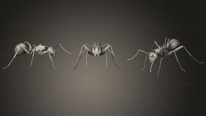 Статуэтки животных (Жуки-насекомые 1411, STKJ_1731) 3D модель для ЧПУ станка